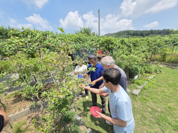 17822032291.78220322971E+12_06ffc1c69c6db7a24ffd.jpg